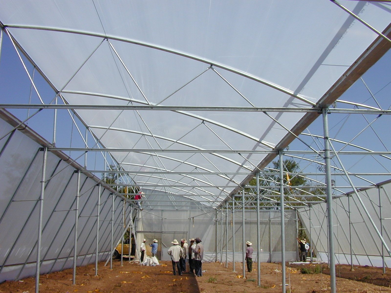 Greenhouse Project 4